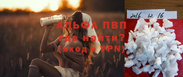 гашик Кодинск