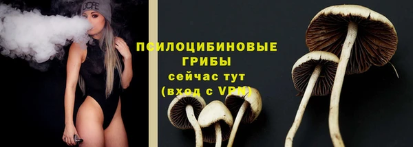 гидропоника Козловка