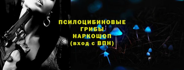 гашик Кодинск