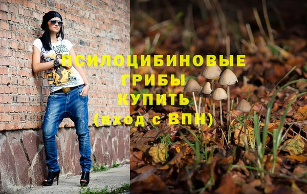 гидропоника Козловка