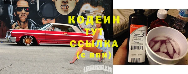 гашик Кодинск