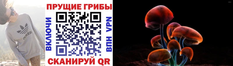 Псилоцибиновые грибы GOLDEN TEACHER  Купить закладки  Заводоуковск 