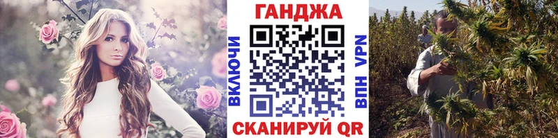 Купить закладки  Заводоуковск  Канабис план 